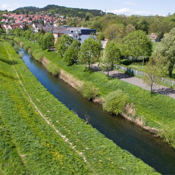 Rechtsseitiger HWS-Deich in Höhe Katzenaue / Sportpark